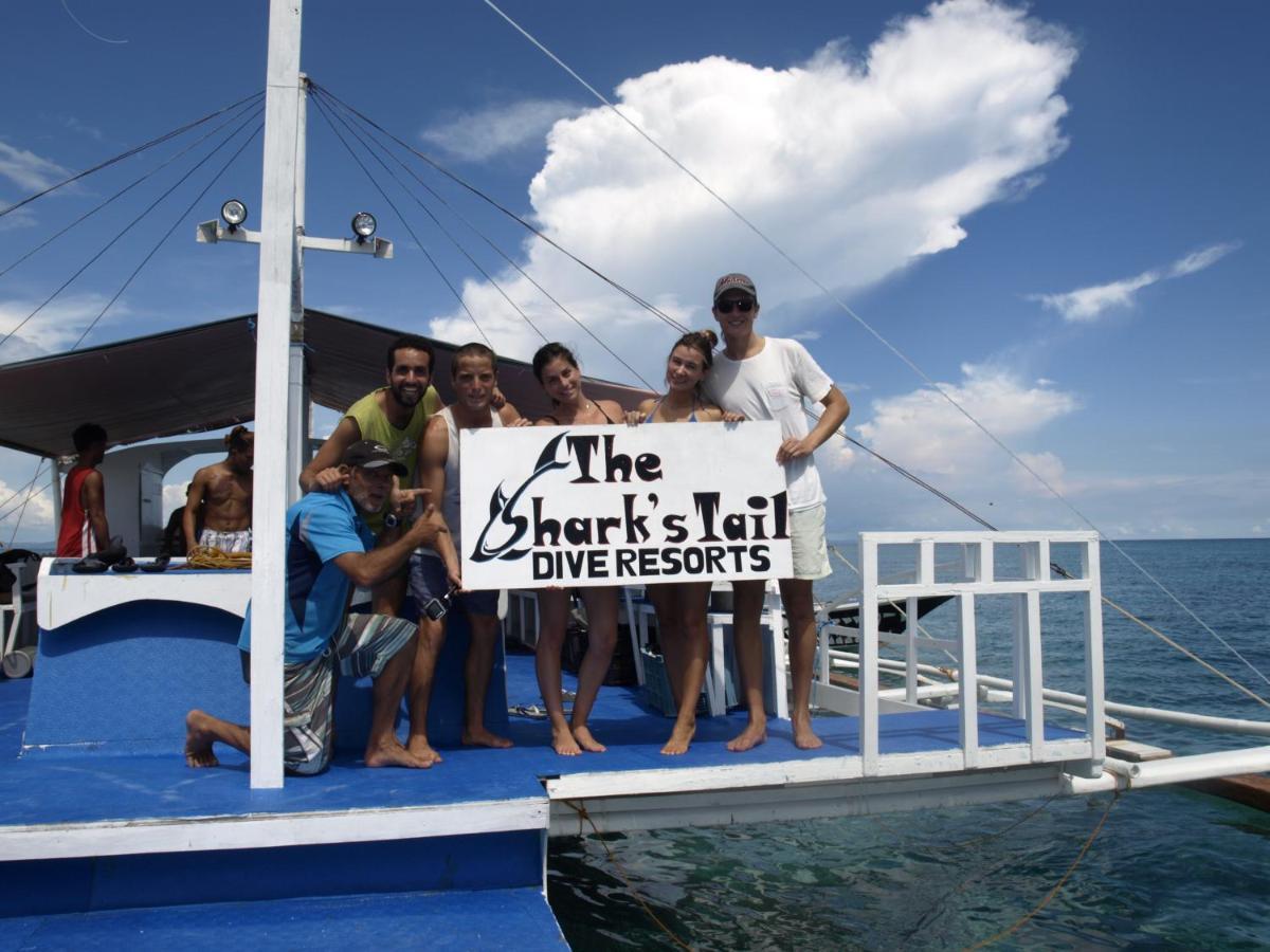 The Shark'S Tail Dive Resort Logon Luaran gambar